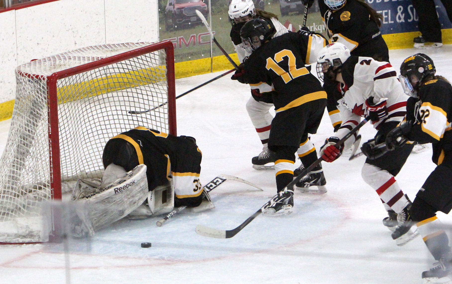 Hayward at Chippewa Falls/Menomonie girls hockey 2-5-21